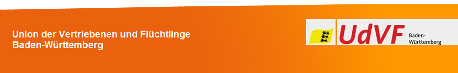 UDVF Header Homepage